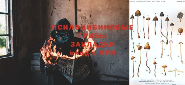 стаф Абинск