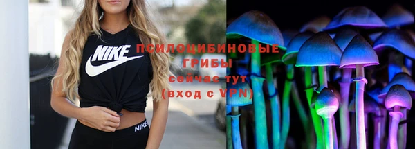 ALPHA PVP Строитель