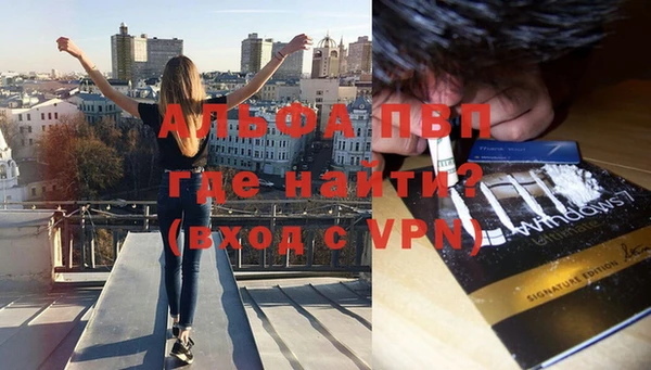 стаф Абинск