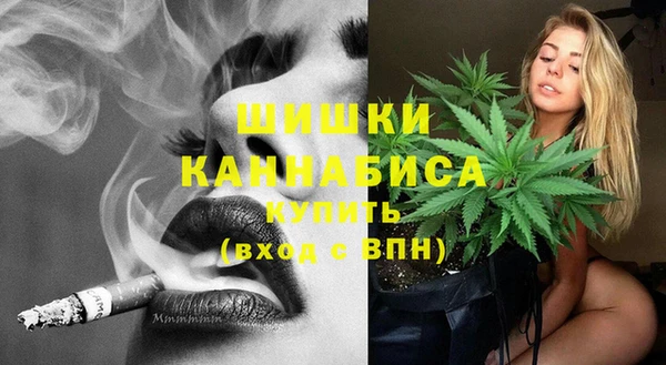 стаф Абинск