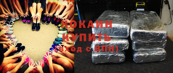 стаф Абинск