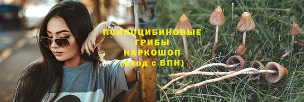 прущая мука Абдулино